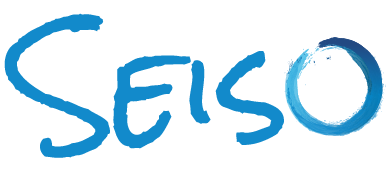 Seiso Logo Color