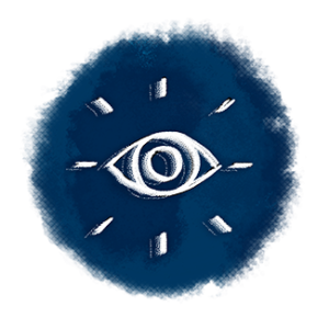 seiso_website_icons_services_vison_350